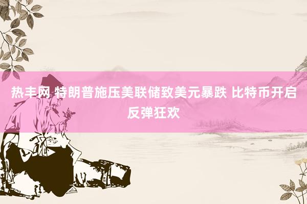 热丰网 特朗普施压美联储致美元暴跌 比特币开启反弹狂欢